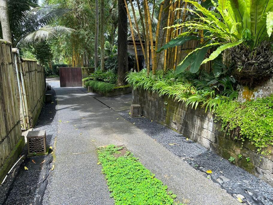 Boho Bellissimo Villa Ubud Exterior foto